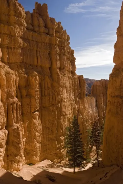Framed Print : Bryce Canyon: Sandstone cliffs below Sunset Point Framed Print : Bryce Canyon: Sandstone cliffs below Sunset Point