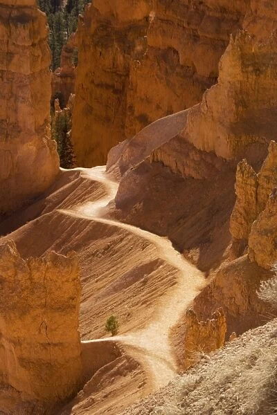 Bryce Canyon: trail down into canyon from Sunrise Point. Utah, USA