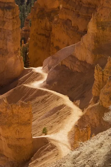 Framed Print : Bryce Canyon: trail down into canyon from Sunrise Point. Utah, USA Framed Print : Bryce Canyon: trail down into canyon from Sunrise Point. Utah, USA