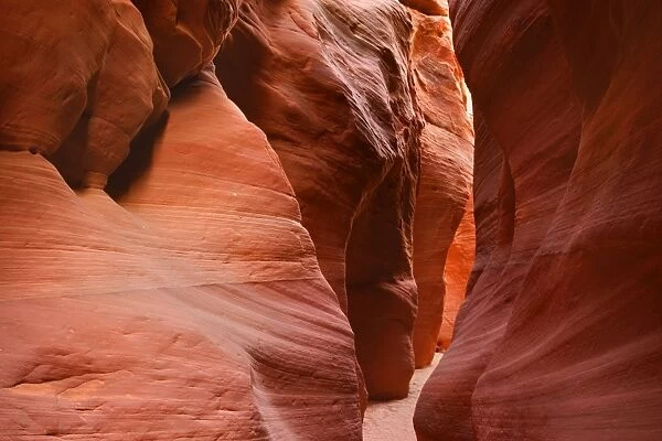 Buckskin Gulch Narrows - a very narrow and high section in this slot canyon with sandstone walls of different shades of red - House Rock Valley Road - Grand Staircase Escalante National Monument - Utah - USA