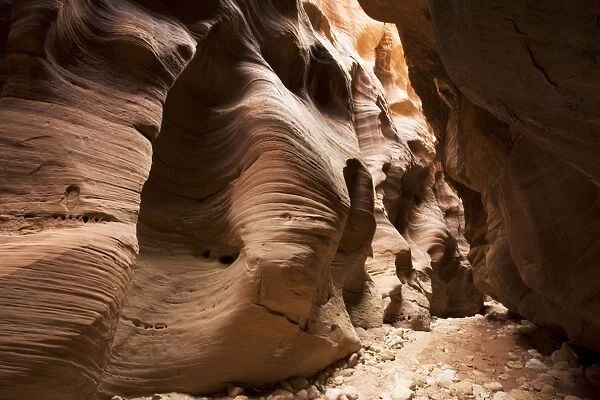 Buckskin gulch - slot canyon in sandstone. In Paria Canyon-Vermilion Cliffs Wilderness area. Utah, USA