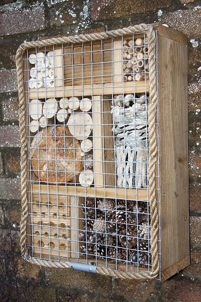 Bug box - wall mounted hibernaculum for insects and bugs. England, UK