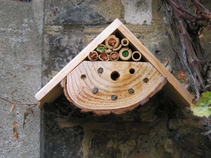 Framed Print : Bumble Bee Nest Box - in garden UK Framed Print : Bumble Bee Nest Box - in garden UK