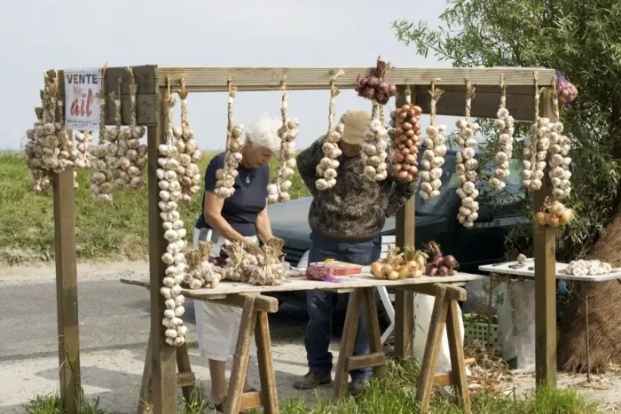 Framed Print : Buying garlic and onions roadside stall Brittany France Framed Print : Buying garlic and onions roadside stall Brittany France
