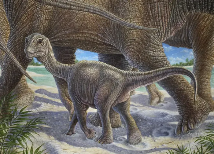 Framed Print : Camarasaurus Lentus - herd with calf