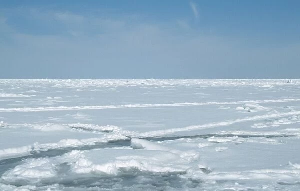 Canada - crevice in ice, Harp Seal habitat. Magdalen Island