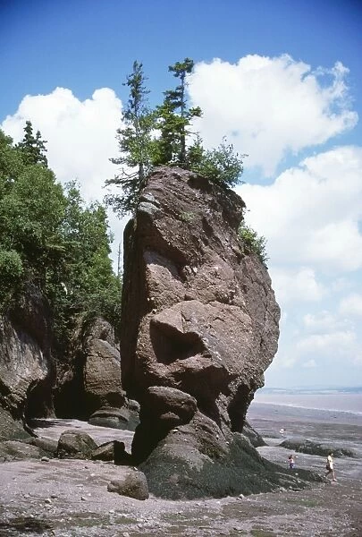 Canada - Flower Pot Rock, at low tide. Eroded by world's highest bay of Fundy tides. New Brunswick, Cape Hopewell