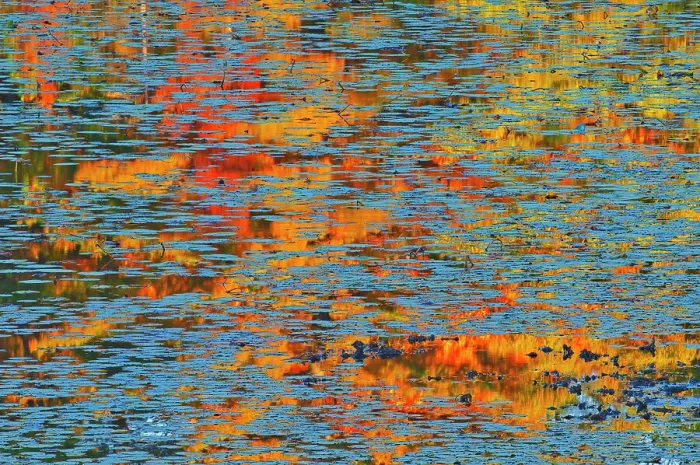 Framed Print : Canada, Ontario, Minden. Reflection of autumn colored forest in pond with water lily pads. Date: 06-10-2006 Framed Print : Canada, Ontario, Minden. Reflection of autumn colored forest in pond with water lily pads. Date: 06-10-2006
