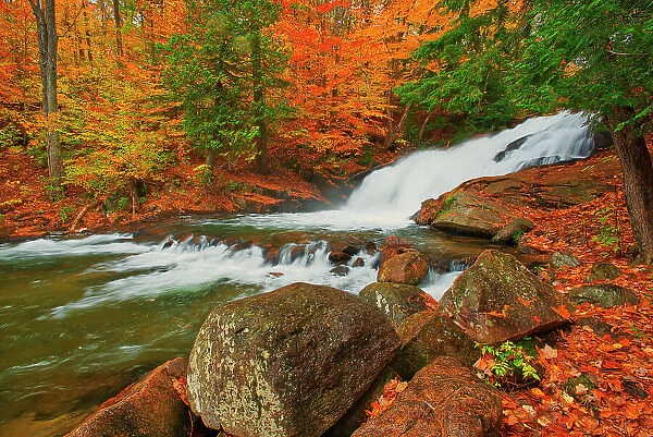 Canada, Ontario, Rosseau. Skeleton River at Hatchery Falls in autumn. Date: 11-10-2014