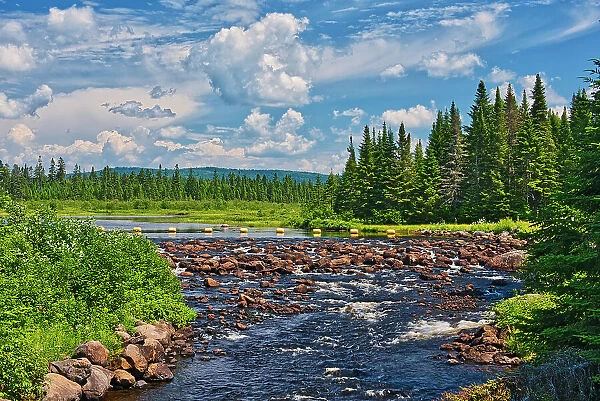 Canada, Quebec, Parc National du Mont-Tremblant. Riviere du Diable rapids and forest. Date: 19-07-2017