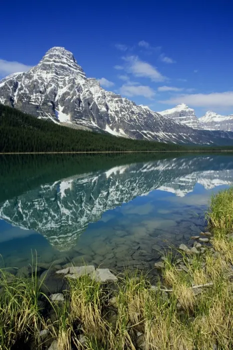Framed Print : Canada - upper Waterfowl Lake reflecting Mount Chephren, Summer. Canadian Rockies, Banff National Park, Alberta. S1578 Framed Print : Canada - upper Waterfowl Lake reflecting Mount Chephren, Summer. Canadian Rockies, Banff National Park, Alberta. S1578