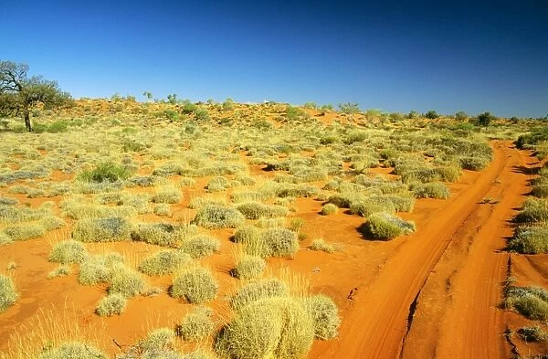 Canning Stock Route Sandy Desert, Western Australia JLR03123