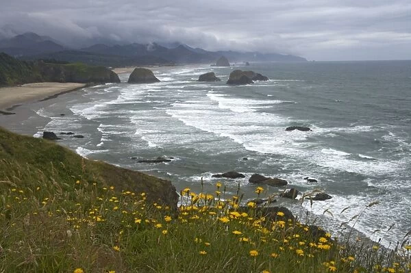 Cannon Beach and Sea Stacks from Ecola State Park North Oregon Coast USA LA000903