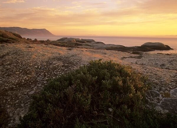Cape Peninsula rocky coastline near Boulder's Beach at sunrise with table mountain in background Boulder's Beach, Western Cape Province, Cape Peninsula, South Africa