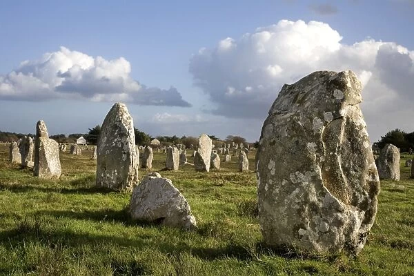 Carnac menhirs - Brittany - France
