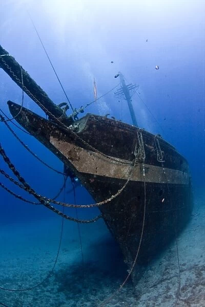 The Carthaginian Wreck - Lahaina - Maui