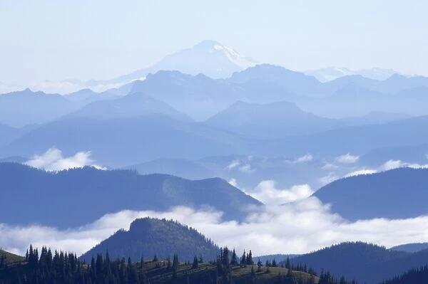 Cascade Range from Sunset - Mount Rainier National Park - Washington State, USA LA001274