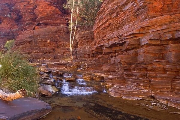 Cascades in Kalamina Gorge - picturesque cascades in Kalamina Gorge, surrounded by steep, terraced red walls. The cascade is in the shade but the reflecting walls cast a warm light upon the whole scenery - Kalamina Gorge, Hamersley Range
