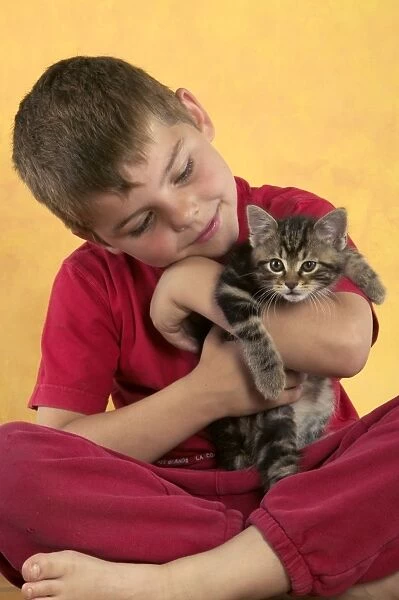 CAT - young boy holding tabby kitten
