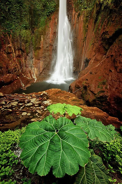 Catarata Del Toro Waterfall, in the mountains of Bajos del Toro Amarillo, Sarchi, Costa Rica Date: 18-03-2011