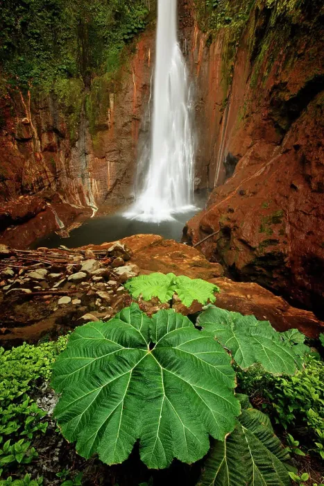 Framed Print : Catarata Del Toro Waterfall, in the mountains of Bajos del Toro Amarillo, Sarchi, Costa Rica Date: 18-03-2011 Framed Print : Catarata Del Toro Waterfall, in the mountains of Bajos del Toro Amarillo, Sarchi, Costa Rica Date: 18-03-2011