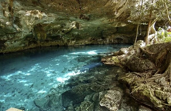 Cave diving Maya Cenotes Yucatan Mexico - The Yucatan Penisula is a huge limestone platform where water runs through an underground cave system. Part of the land has collapsed, creating sinkholes called Cenotes