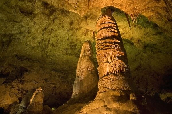 Cave Formations - amazing cave formations including huge columns of stalagmites, called Giant Dome and Twin Domes - Hall of Giants, Carlsbad Caverns National Park, New Mexico, USA