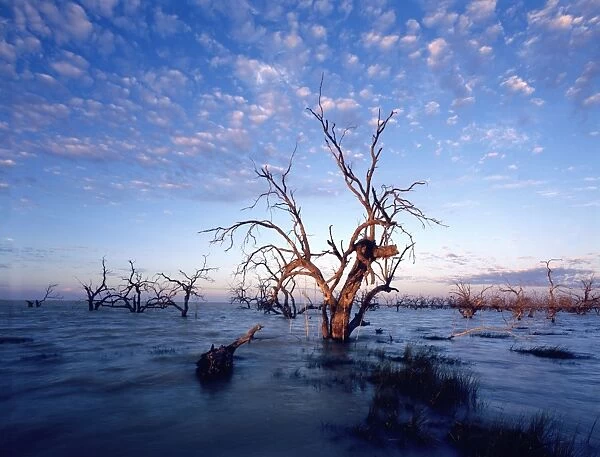 Cawndilla Lakes near Menindee, Kinchega National Park, far western New South Wales, Australia JPF43524