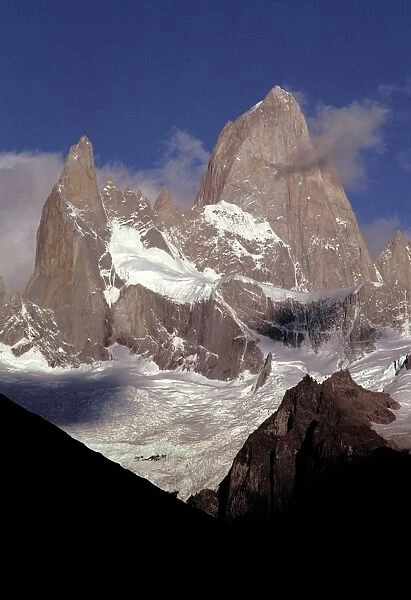 Cerro Fitz-Roy Mountains FG 12410 Altitude 3441 m - Los Glaciares National Park, Province Santa Cruz, Argentina © Francois Gohier  /  ardea. com