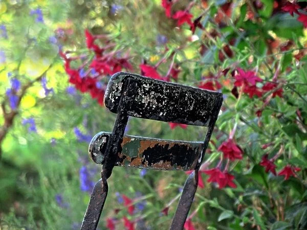 Chair - in garden