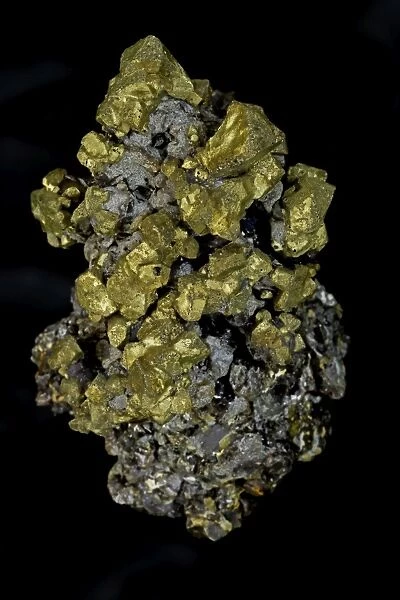 Chalcopyrite (CuFeS2) (Golden) - Commodore Mine - Colorado - USA - The major ore of copper - Copper Iron sulfide - Very important economic ore
