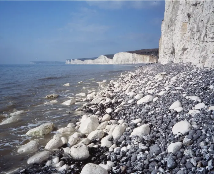 Framed Print : CHALK CLIFFS -looking towards Seven Sisters white cliffs of Dov Framed Print : CHALK CLIFFS -looking towards Seven Sisters white cliffs of Dov