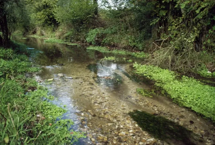 Framed Print : Chalk Stream - The Winterbourne - Newbury - Berkshire Framed Print : Chalk Stream - The Winterbourne - Newbury - Berkshire