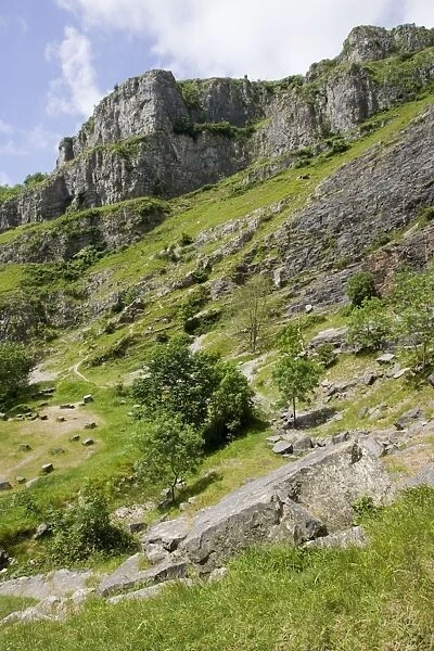 Cheddar Gorge - The karst limestone cliffs and calcareous grassland form an important wildlife habitat for many unusal plants and animals including Greater horshoe bats which roost in the caves. Somerset, UK