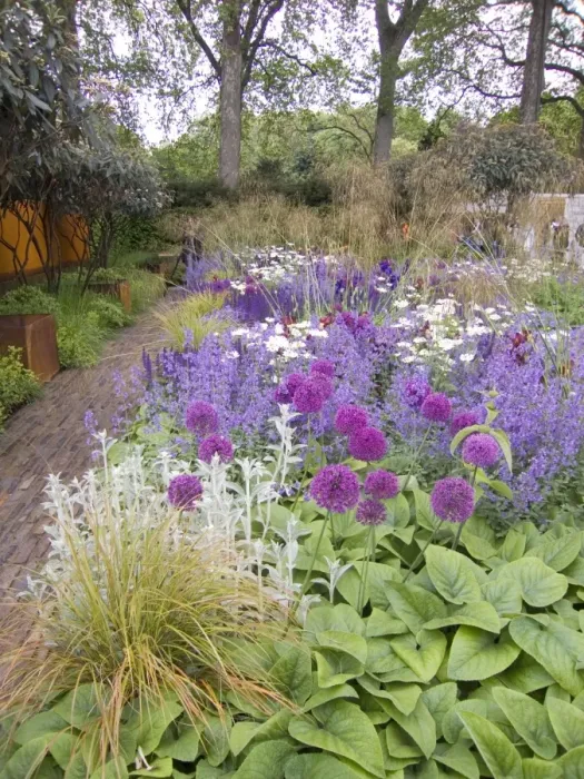 Framed Print : Chelsea Flower Show 2006 - Show garden with alliums Framed Print : Chelsea Flower Show 2006 - Show garden with alliums