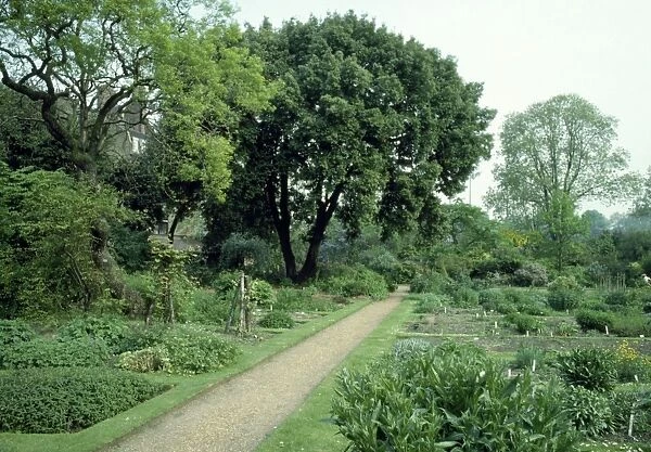 Chelsea Physic Garden, UK
