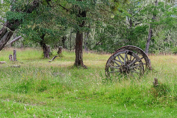 Chile, Aysen, Rio Baker. Old wooden wagon wheels. Date: 12-01-2012