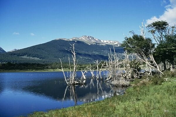Chile Tierra del Fuego near Puerto Williams