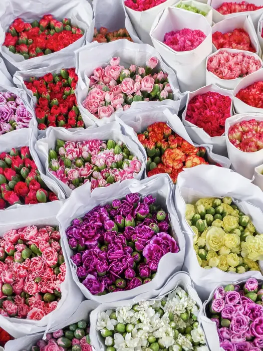 Framed Print : China, Hong Kong. Flower market. Date: 10-04-2018