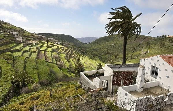 Chipude en route to Valle Gran Rey - much terracing but no cultivation at this time of year. La Gomera, Canary Is. January