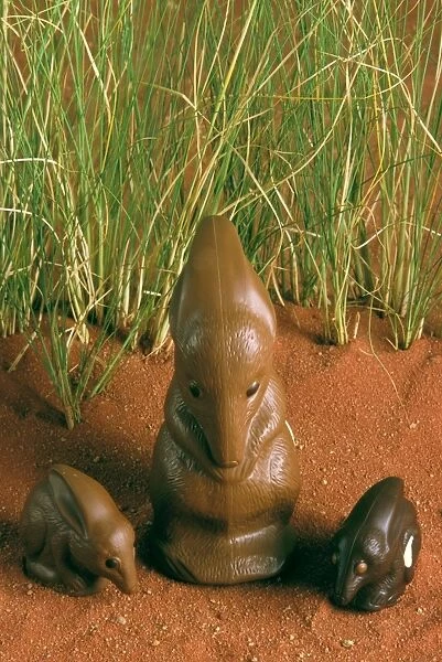 Chocolate Bilby - Australia's version of the Easter bunny JLR07171
