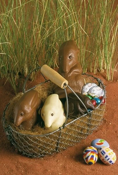 Chocolate Bilby - Australia's version of the Easter bunny JLR07161
