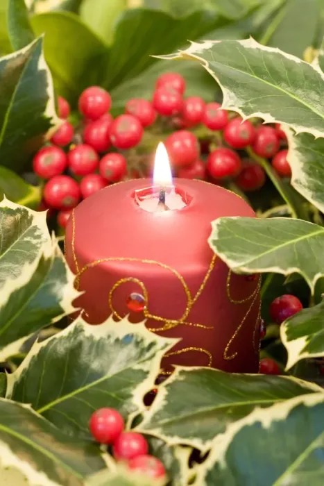 Framed Print : Christmas Candle and holly berries