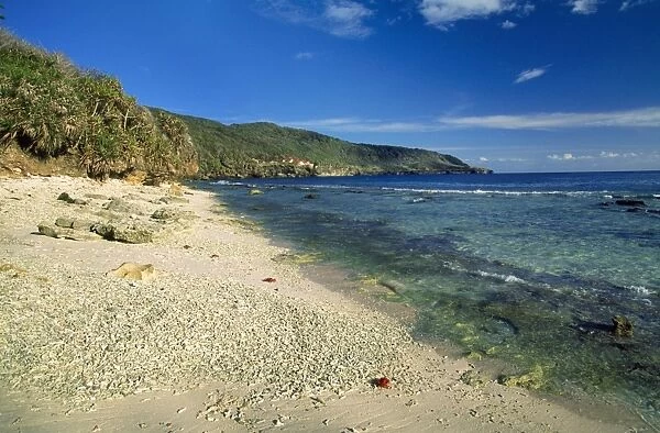 Christmas Island - Indian Ocean - Ethel beach (coral rubble) limestone cliffs & Pandanus