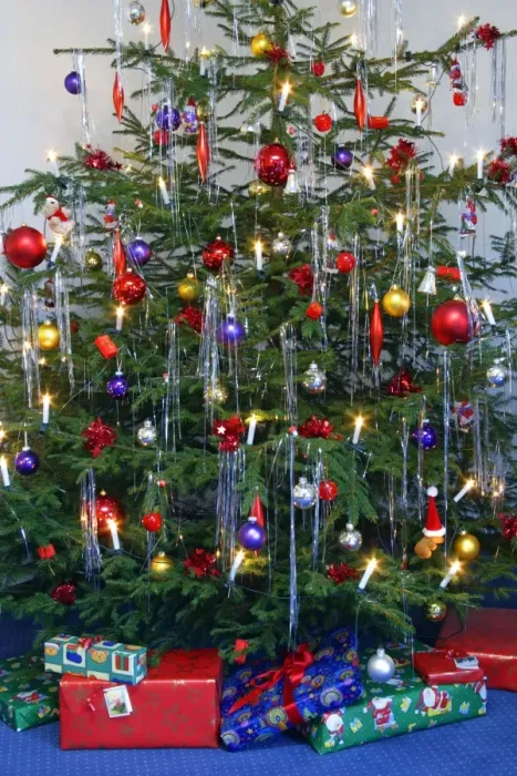 Framed Print : Christmas Tree - Norway spruce, young tree hung with decorations and presents Framed Print : Christmas Tree - Norway spruce, young tree hung with decorations and presents