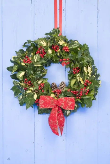 Framed Print : Christmas Wreath on old blue painted wooden door Framed Print : Christmas Wreath on old blue painted wooden door