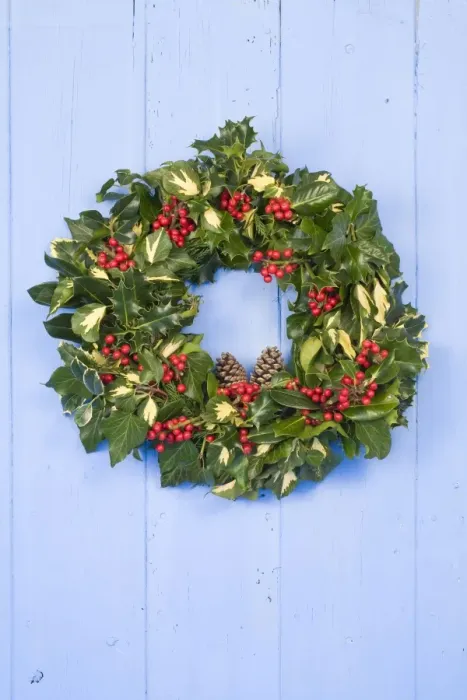 Framed Print : Christmas Wreath on old blue painted wooden door