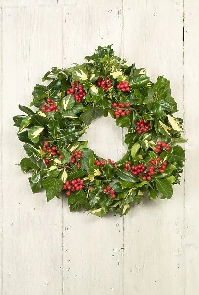 Christmas Wreath on old white painted door
