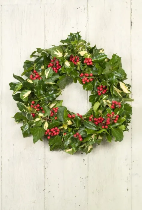 Framed Print : Christmas Wreath on old white painted door Framed Print : Christmas Wreath on old white painted door