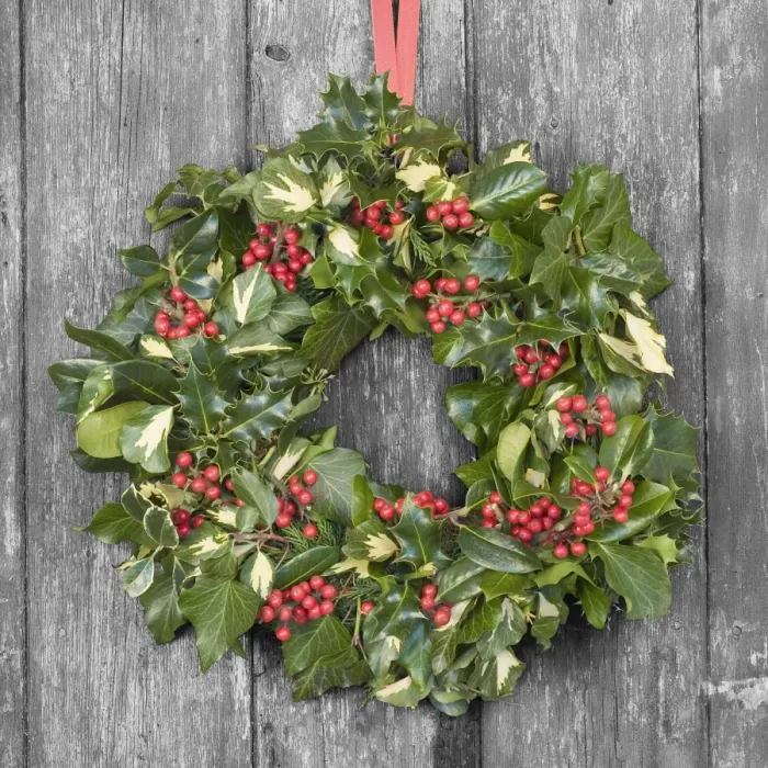 Framed Print : Christmas Wreath on old wooden door Digital Manipulation: door to B&W Framed Print : Christmas Wreath on old wooden door Digital Manipulation: door to B&W